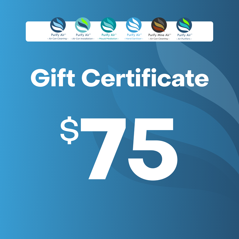 Purify Air Gift Certificate - $75