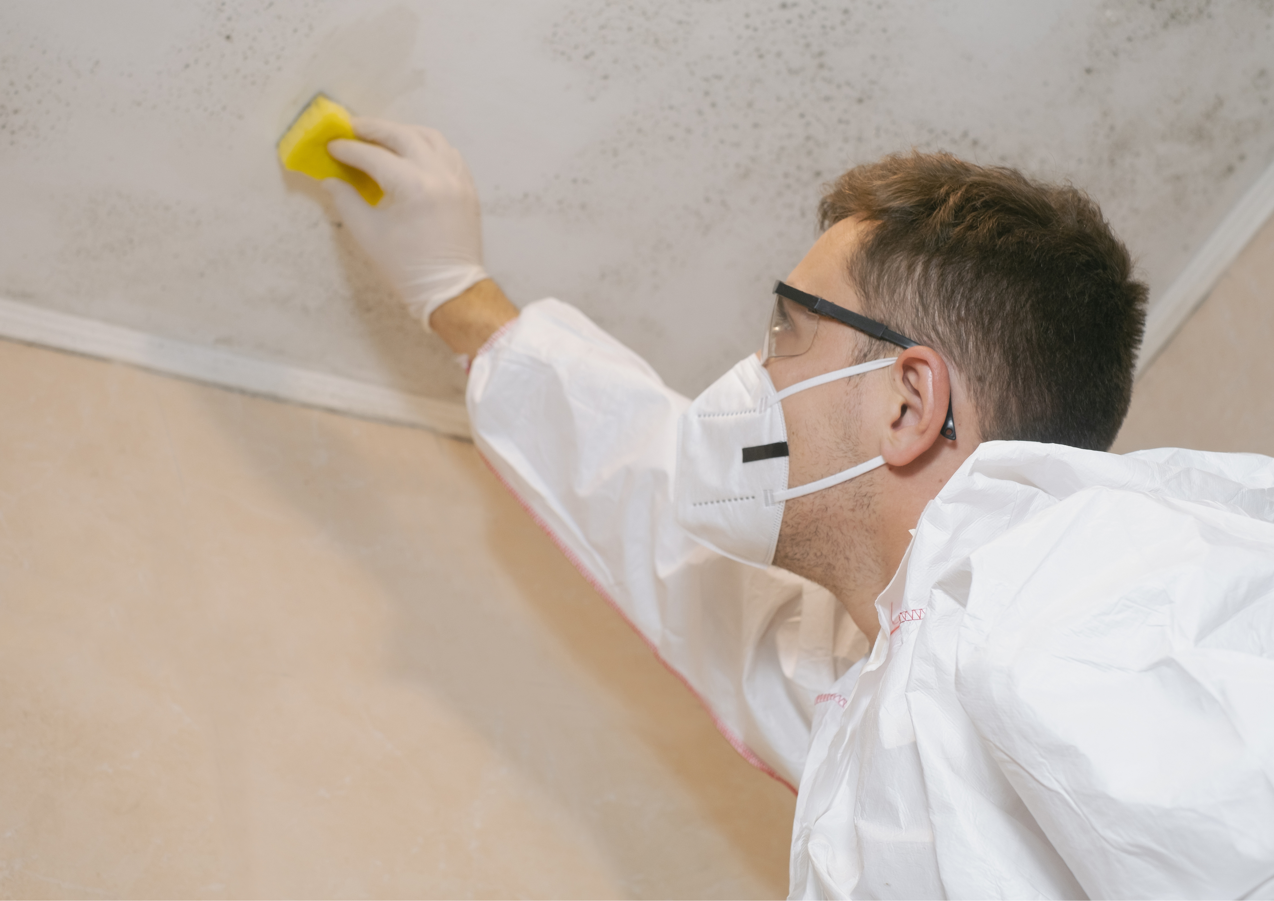 Treatment for mildew - Purify Air