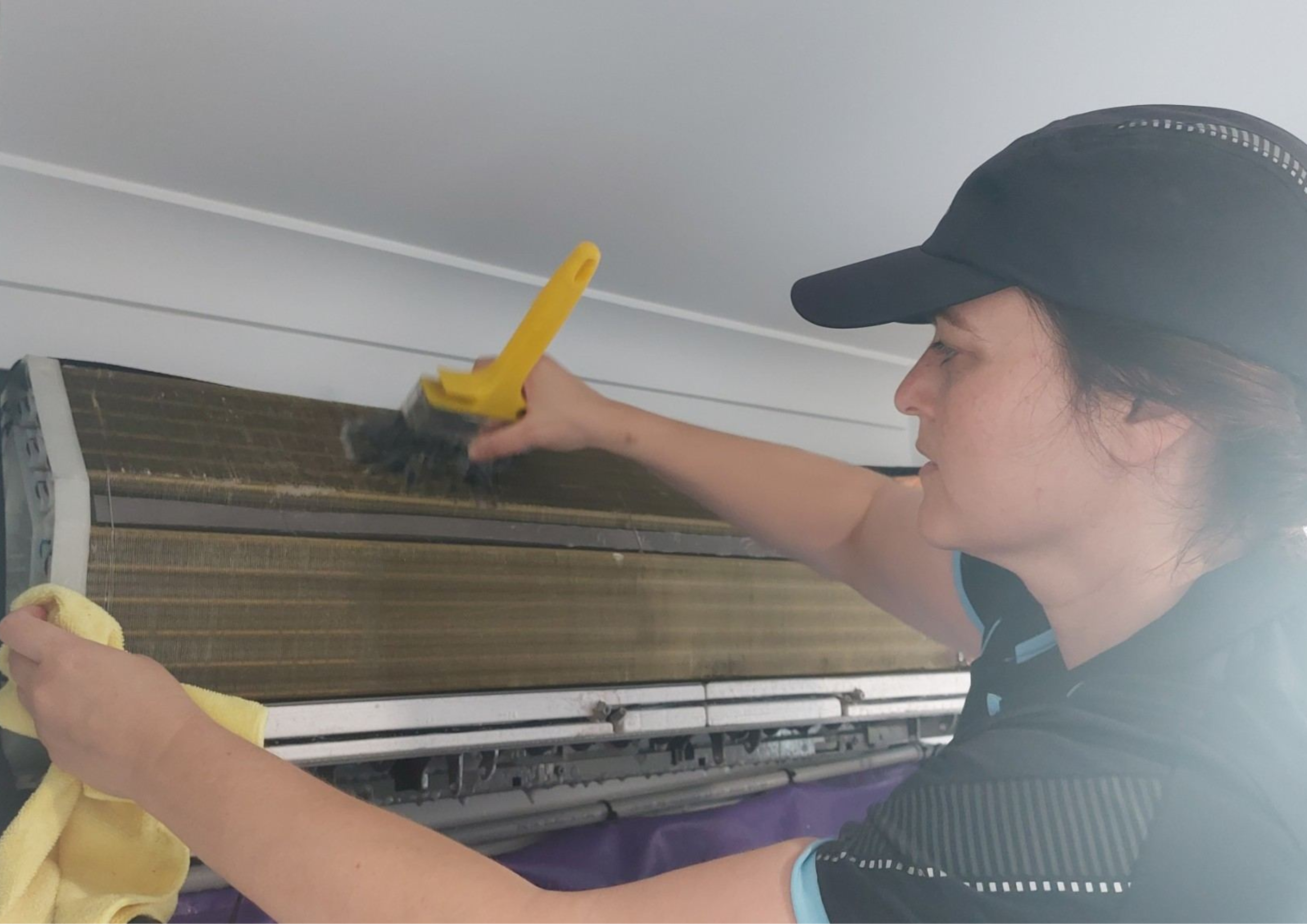 Regular Maintenance - Purify Air - Mould and Mildew