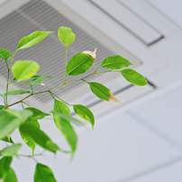Regular maintenance and cleaning of your air conditioner can significantly enhance indoor air quality