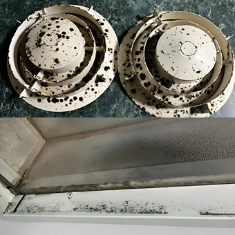 Mould Nightmare Sydney - Purify Air Con Cleaning