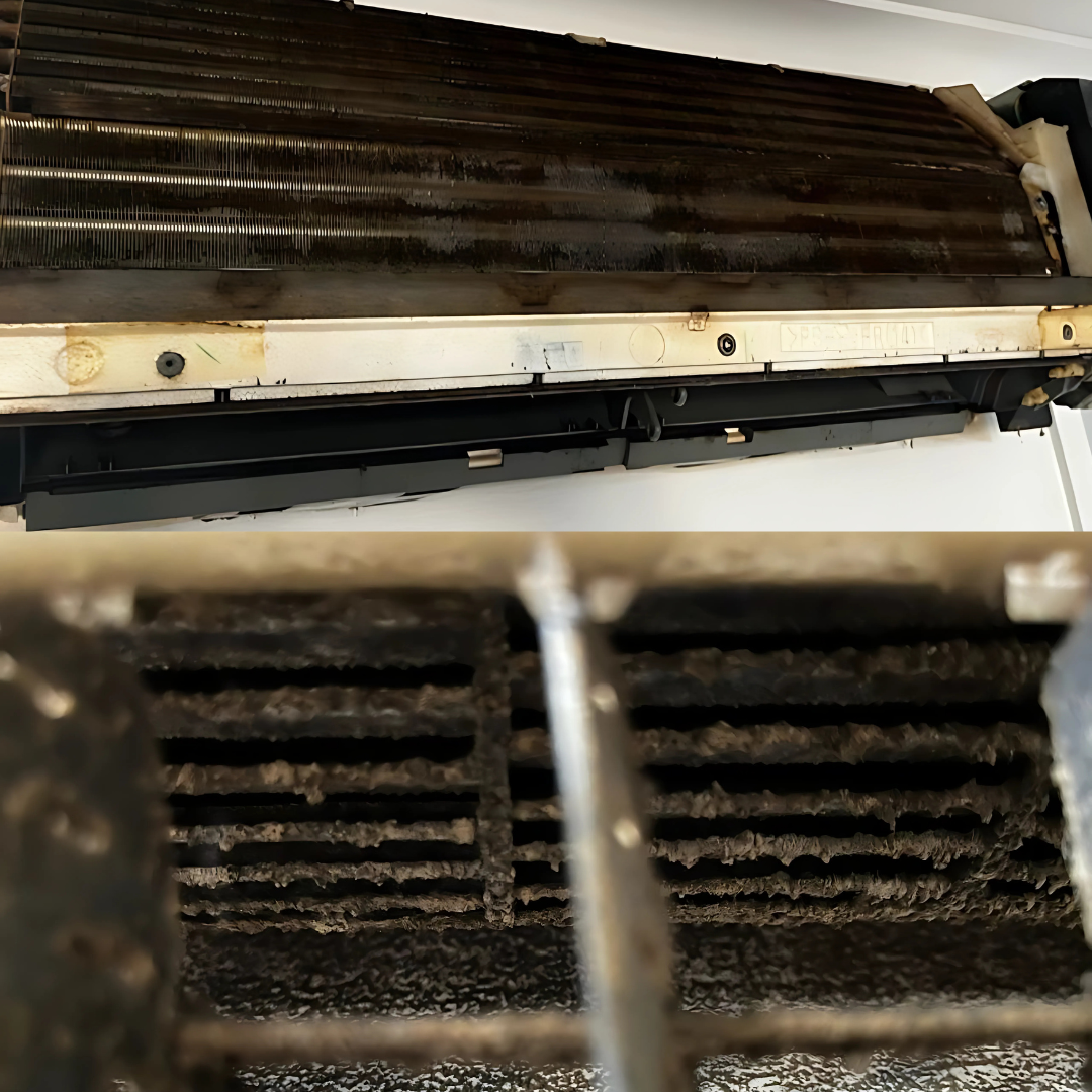Brisbane Office Mould Outbreak - Purify Air Con Cleaning