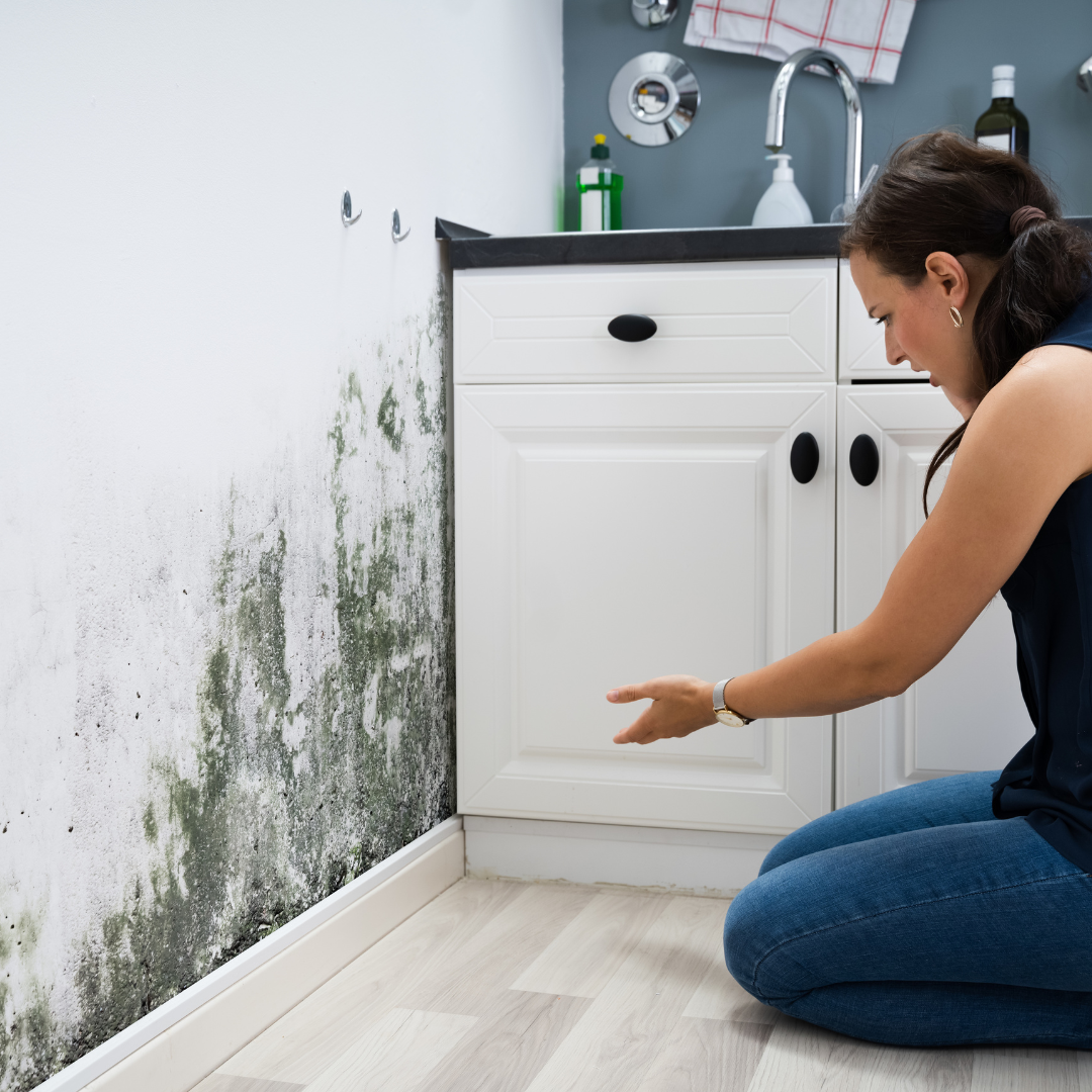 Mould and mildew growth - Leaking Air Conditioner