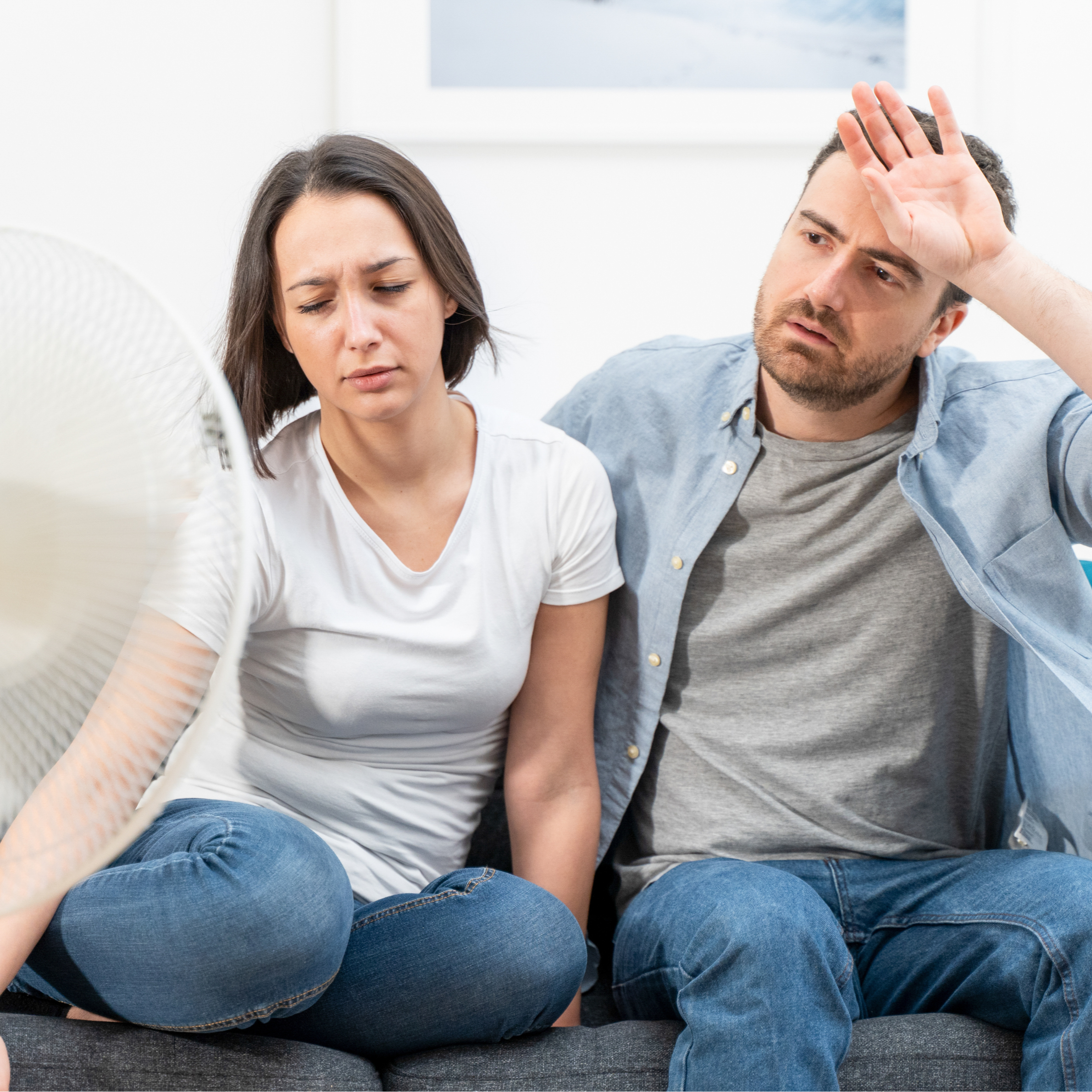 Leaking Air Conditioner - Excess Humidity - Purify Air