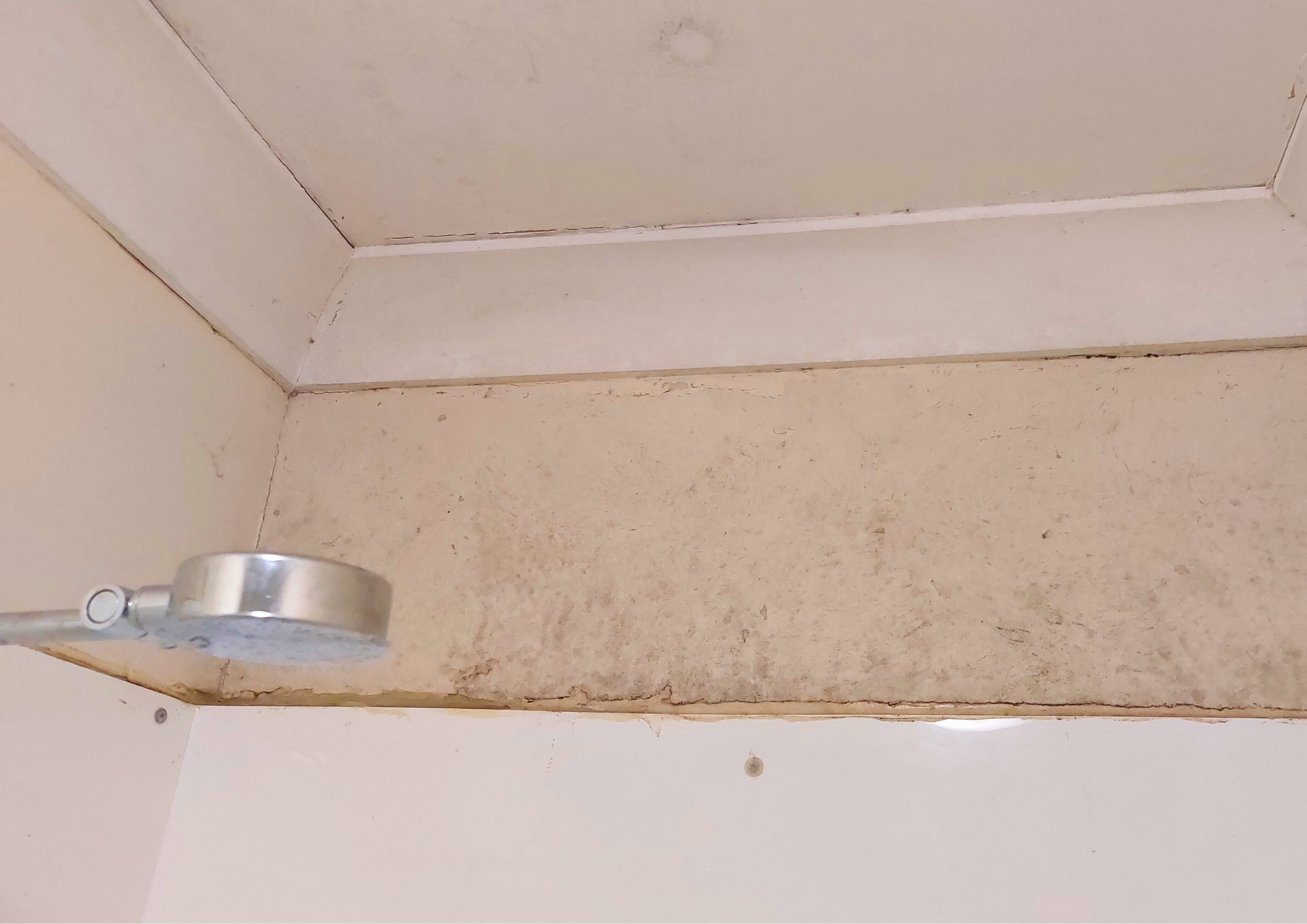Bathroom Exhaust Fans and Mould