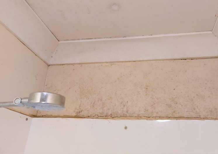 Bathroom Exhaust Fans and Mould