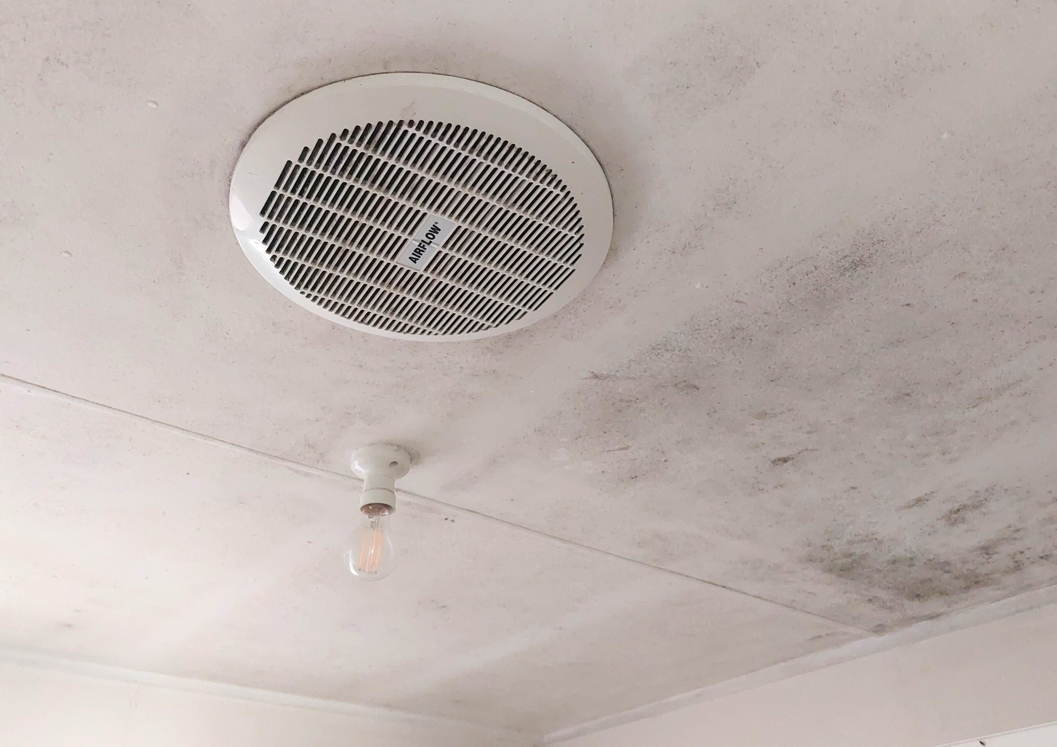 Can ceiling fans and bathroom exhaust fans spread mould and bacteria - Purify Air
