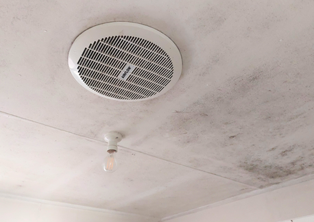 Can ceiling fans and bathroom exhaust fans spread mould and bacteria - Purify Air