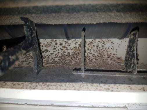 Purify Air Con Cleaning Mackay