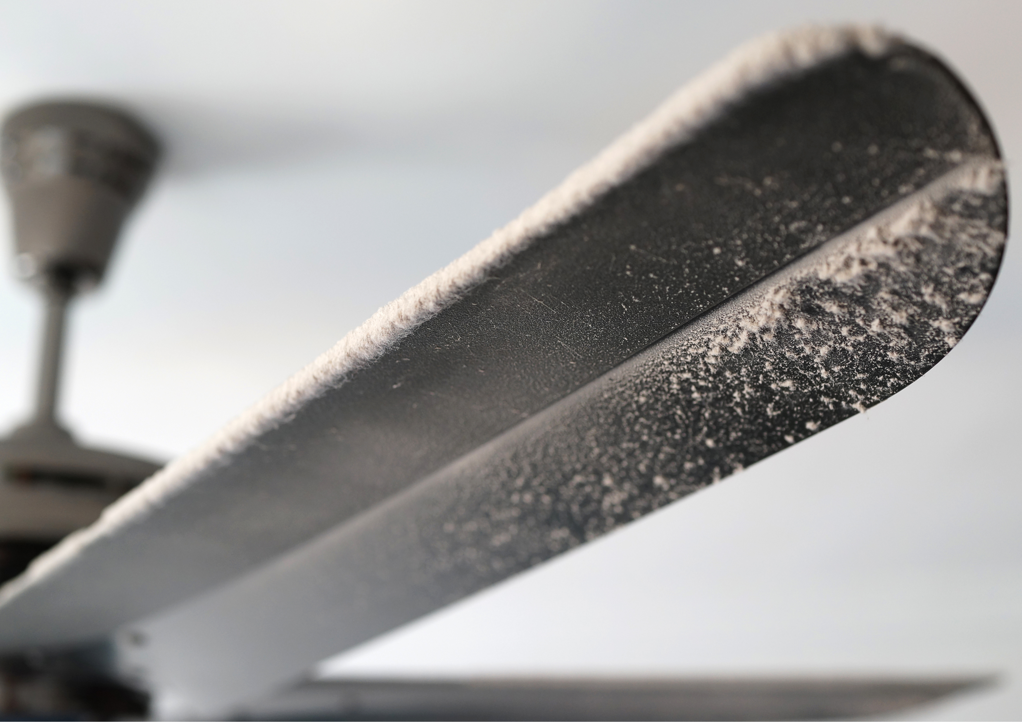  Ceiling Fans and Mould - Purify Air