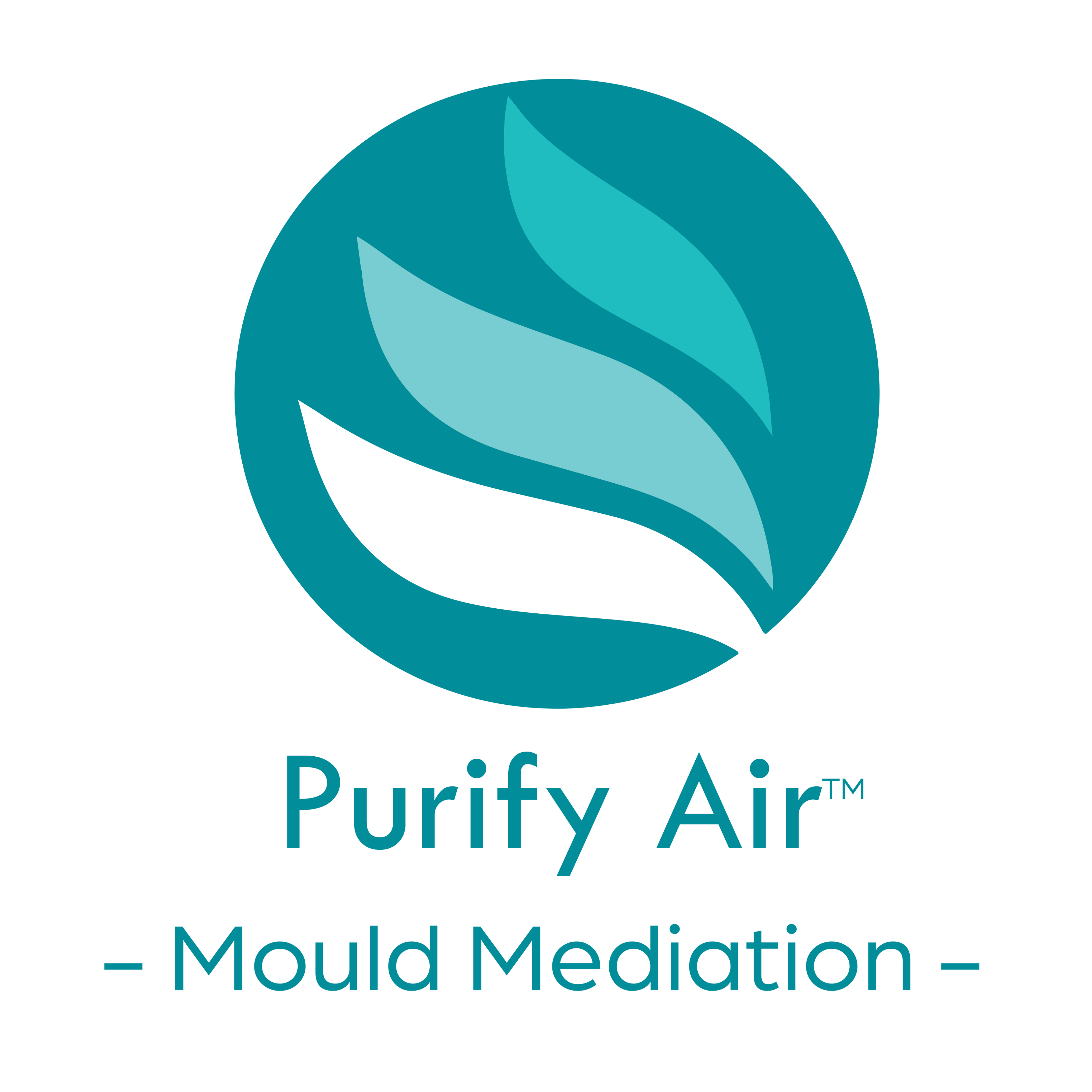 Mould Fogging Treatment