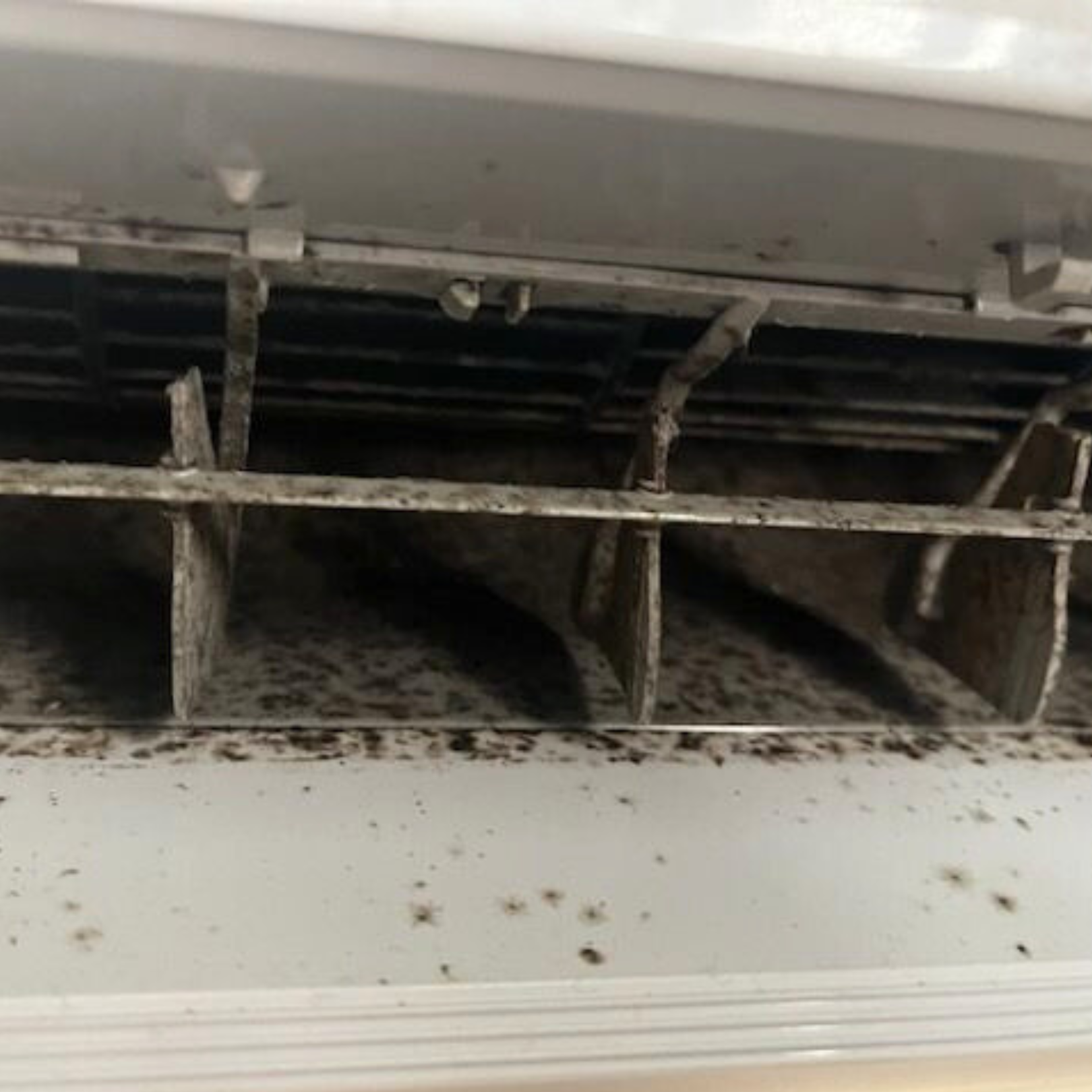 Mould and mildew growth -  Air Conditioner