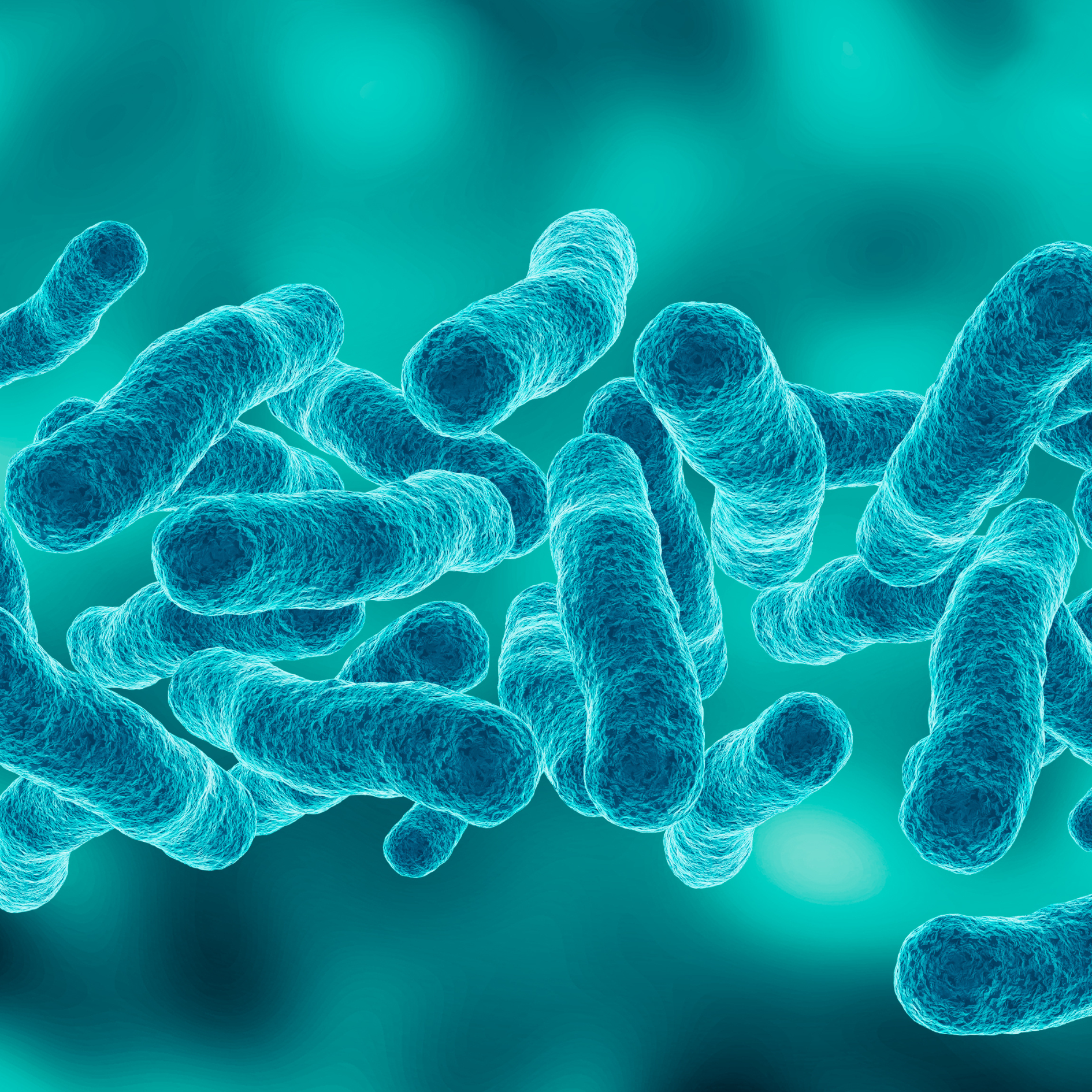 Legionella pneumophila (Legionnaires' Disease) in air conditioners
