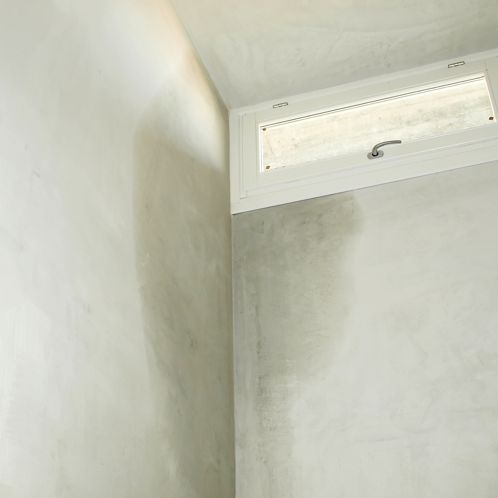 winter can actually make mould worse