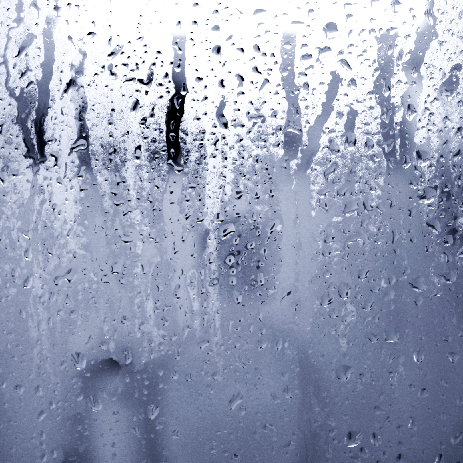 winter can actually make mould worse