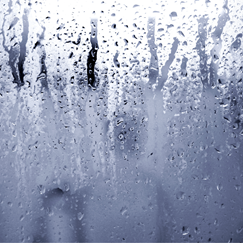 winter can actually make mould worse