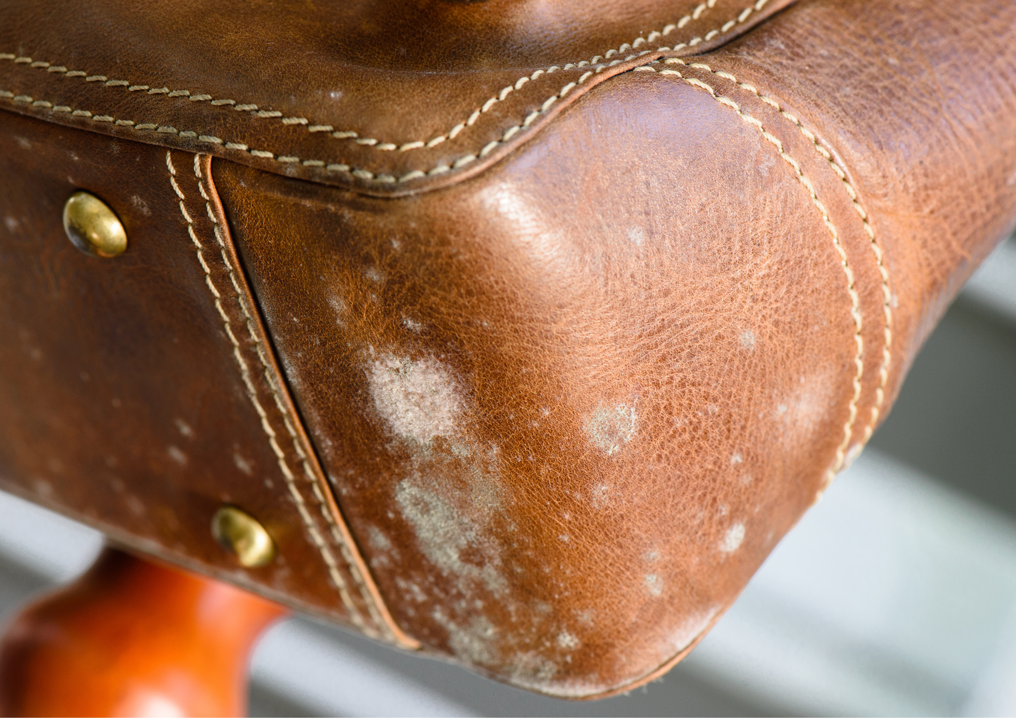 Mould - Rental Property - Treatment & Removal