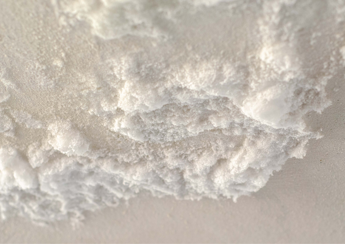 Mould vs Mildew: Key Differences, Health Risks, and Effective Prevention