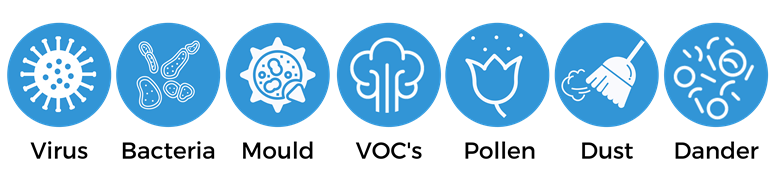 Air Purifier Protection