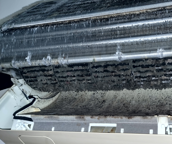 purify air con cleaner