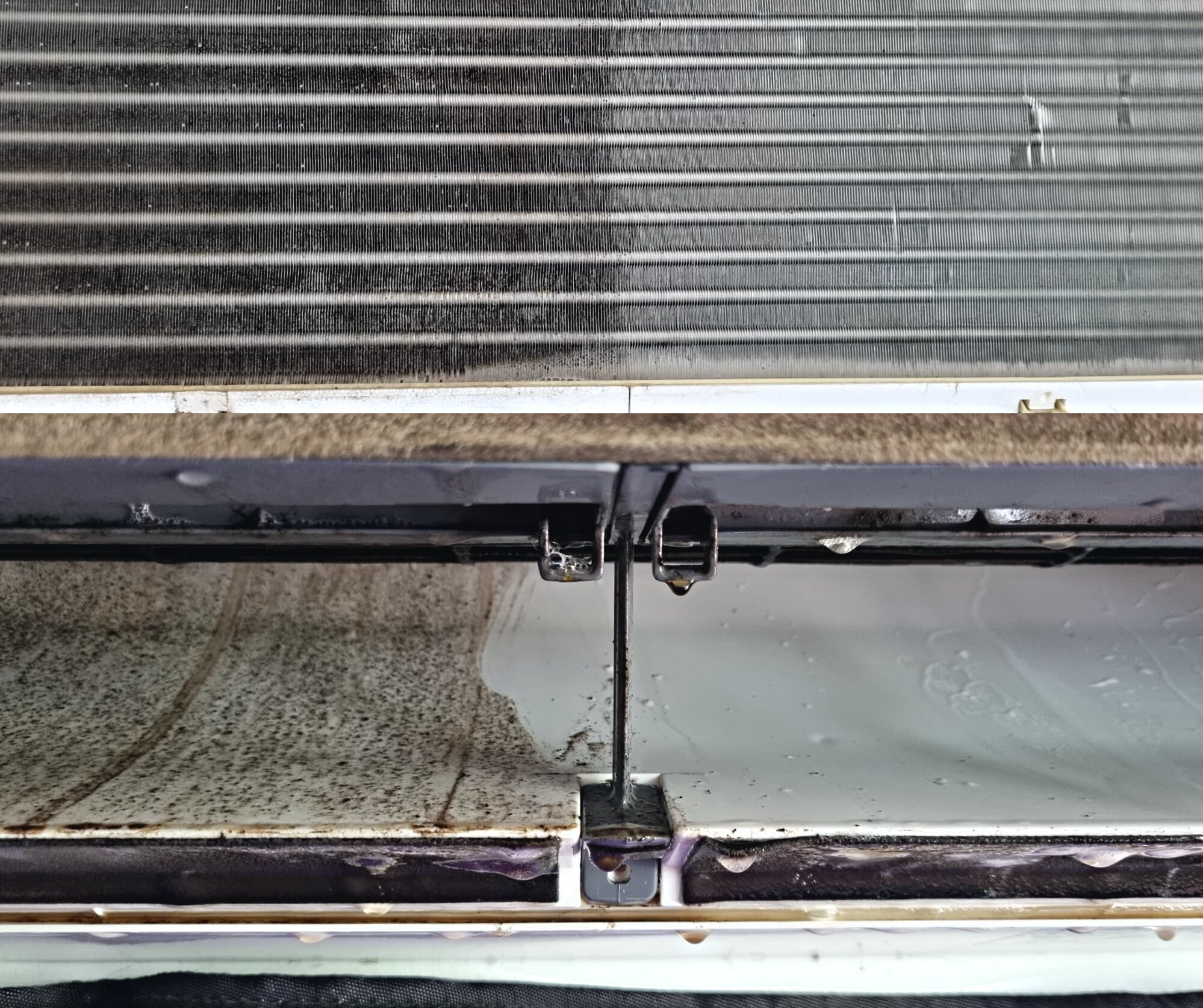 South West Sydney - Purify Air