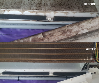 The Hidden Role of Air Conditioners in Spreading Mould