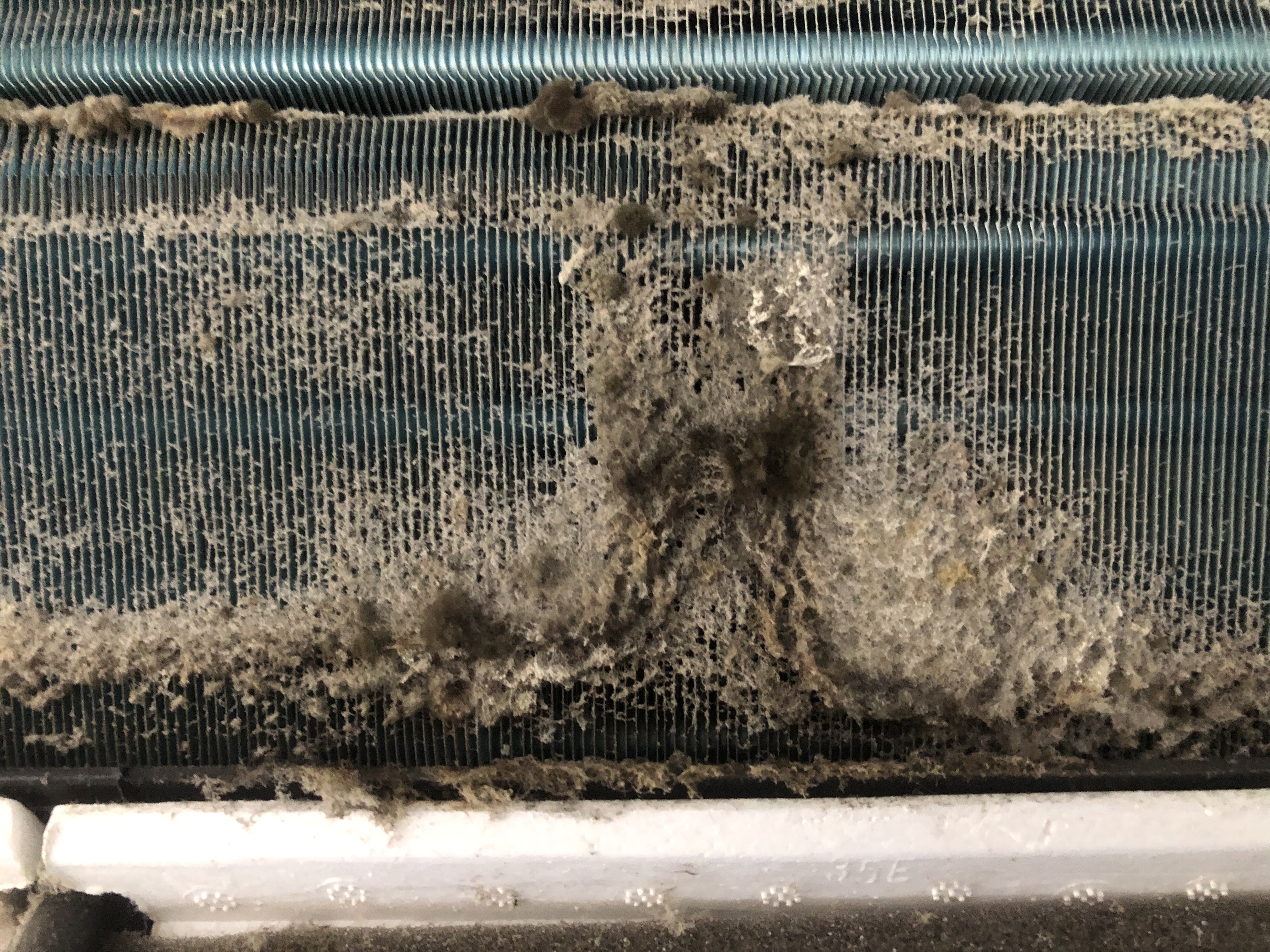 What Is Your Air Conditioner Hiding? Purify Air