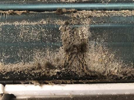 What Is Your Air Conditioner Hiding? Purify Air