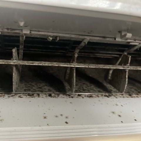 mould and bacteria in airconditioner - Purify Air