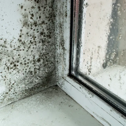 consequences of ignoring winter condensation in your home or workplace Purify Air