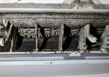 The Impact of Humidity on Your Air Conditioner and Mould Growth- Purify Air