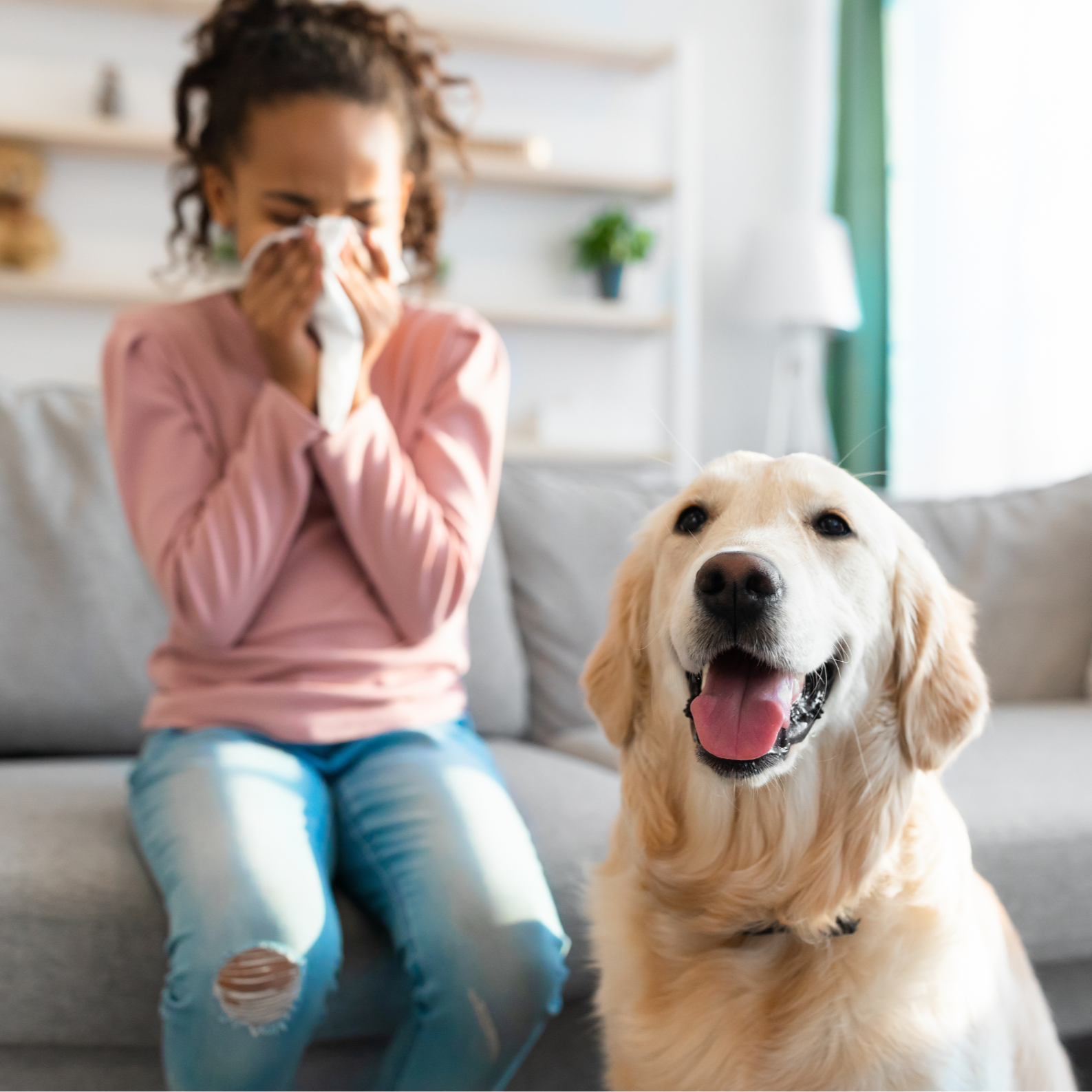 Spring Allergies? Your Air Conditioner Could Be Making Them Worse 