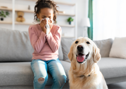 Mould Growth and Its Impact on Indoor Air Quality