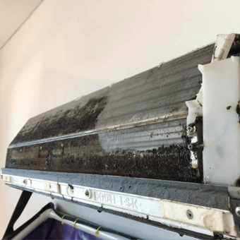 Mould and mildew growth - Air Conditioner