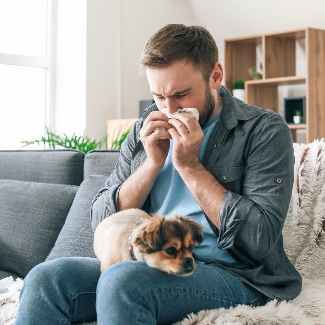 Allergies, Mould Spores and Springtime: What Air Conditioner Users Need to Know
