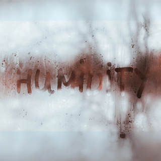 Why Is My House So Humid? 7 Common Causes (And How to Fix Them)