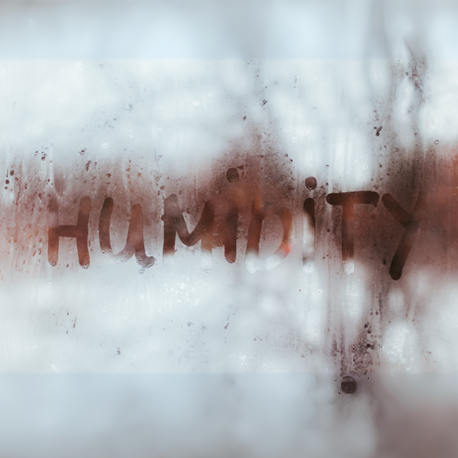 Mouldy House - Fix - Purify Air