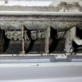 Types Of Mould in Air Conditioners & How To Clean & Treat