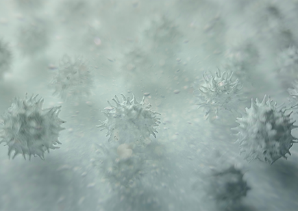 Nano film with thousands of spikes